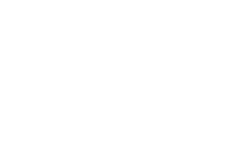 clientFakeLogo__0001_toyota